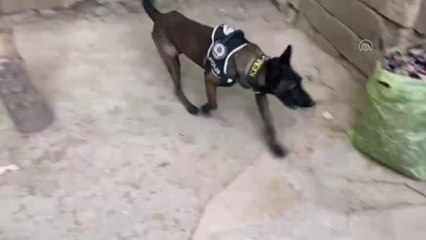 Son dakika! Hakkari ve Van'daki operasyonlarda 405 kilo 600 gram eroin ele geçirildi