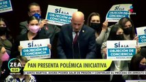 PAN presenta iniciativa para proteger el derecho a la objeción de conciencia