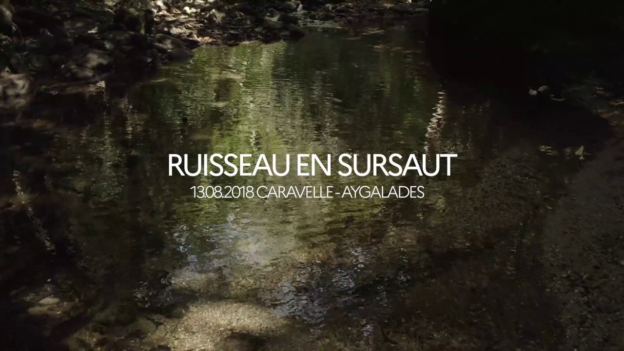 Projet Artistique pour la prévention des risques inondation à Marseille "Ruisseau en sursaut"