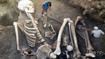 20 Shocking Discoveries of Giants You Won't Believe Exist l Ultimate Fact l