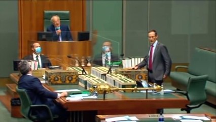 Aussie MP Craig Kelly gets shut down for mentioning ivermectin in parliament, his response was beautiful