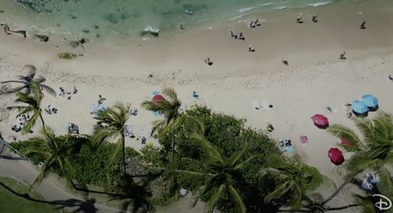 Docteure Doogie - Bande-annonce (VF) | Disney+