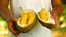 How durian, the 'king of fruits,' sparked a land battle in Malaysia