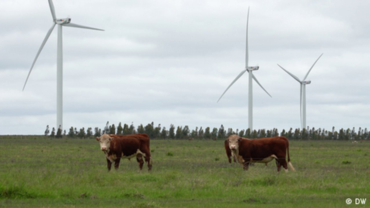 Uruguay: The clean energy transition