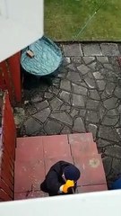 Ce cambrioleur n'a pas vu que le propriétaire de la maison le filme depuis le début