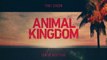 Animal Kingdom -Teaser Saison 6
