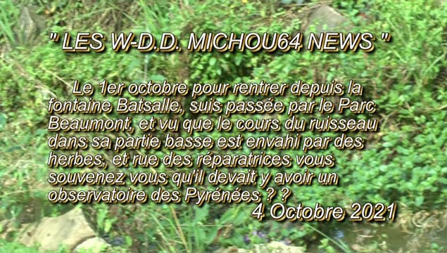 LES W-D.D. MICHOU64 NEWS - 4 OCTOBRE 2021 - PAU - PARC BEAUMONT DANS SA PARTIE BASSE LE COURS DU RUISSEAU EST ENVAHI D'HERBES