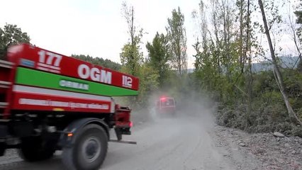 Tavşanlı'da  çıkan orman yangını kısmen kontrol altına alındı