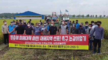 추수 앞두고 논 갈아엎은 전북 농민들..."재해 지역 선포하라" / YTN
