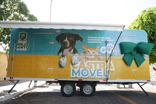 Cidade cearense inova e disponibiliza castramóvel com veterinários para cuidar dos animais rua