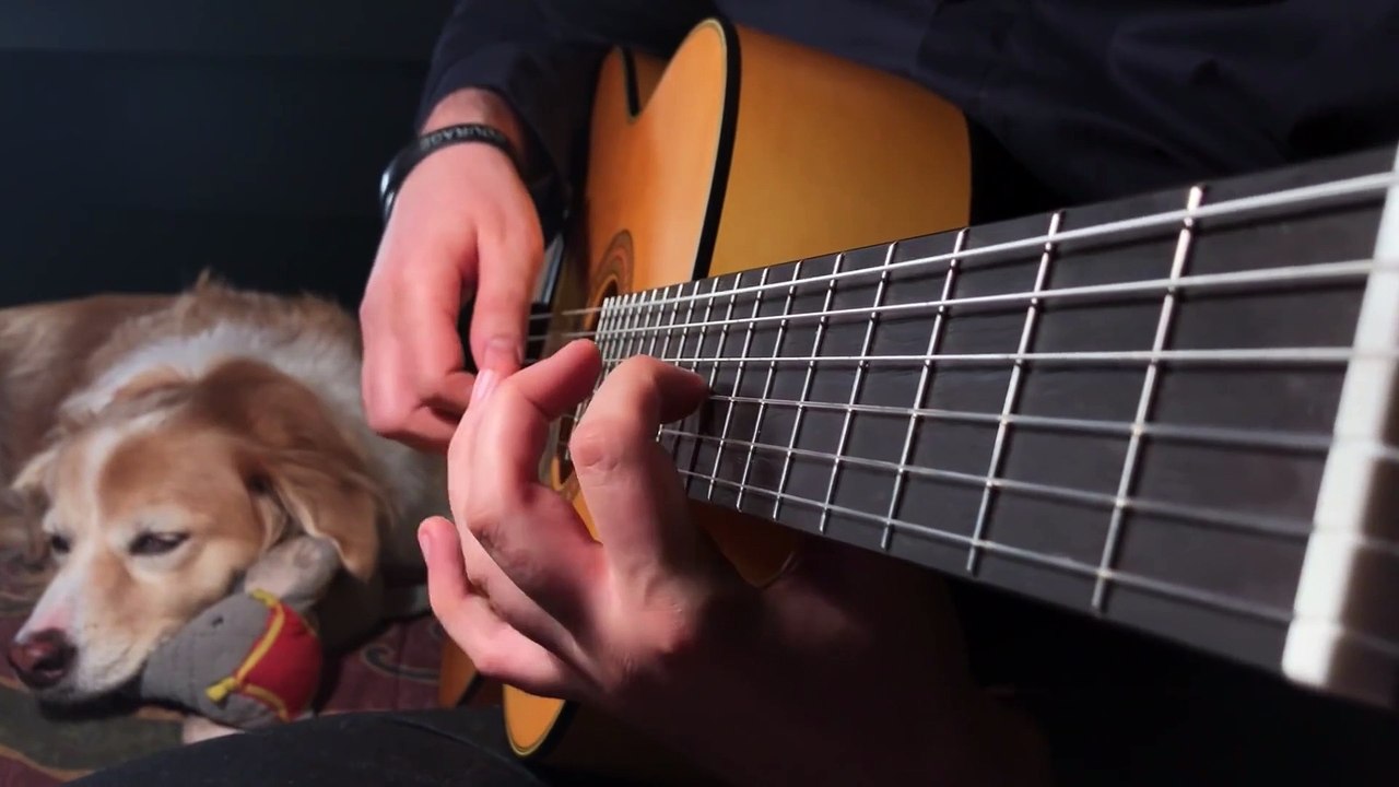 The Last Of Us Fingerstyle Guitar Main Theme AcousticTrench video