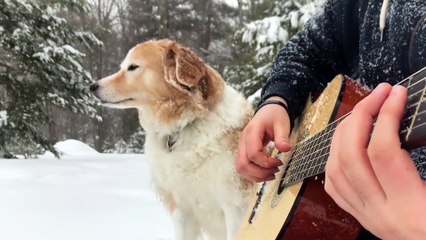 La La Land Mia  Sebastians Theme Guitar Cover  on Spotify  Apple - AcousticTrench