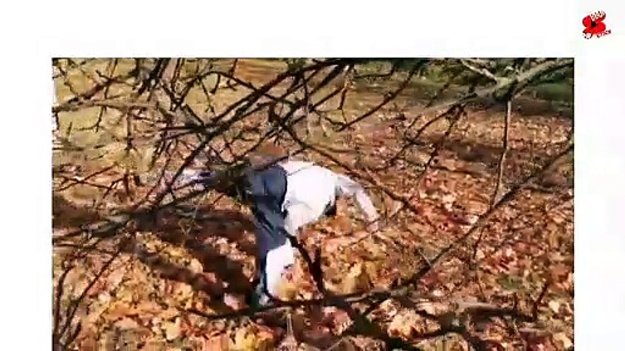 DANCE 2021 - EVERYWHERE