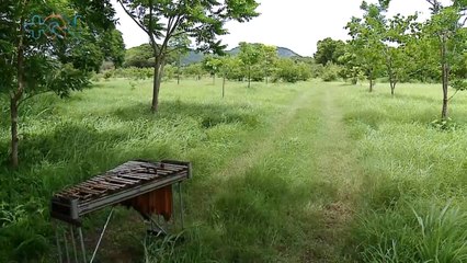 mqn-Santa Cruz de Guanacaste contará con destino único en el país-081021