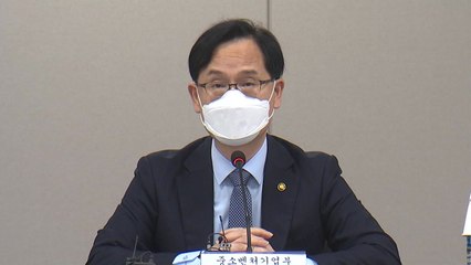 손실보상금 기준 '손실액의 80%' 결정...소기업까지 대상 확대 / YTN