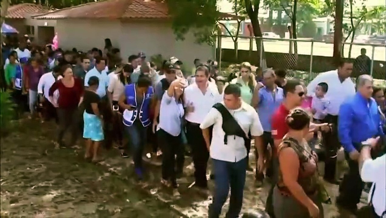 La verdad sobre Joh y sus aliados