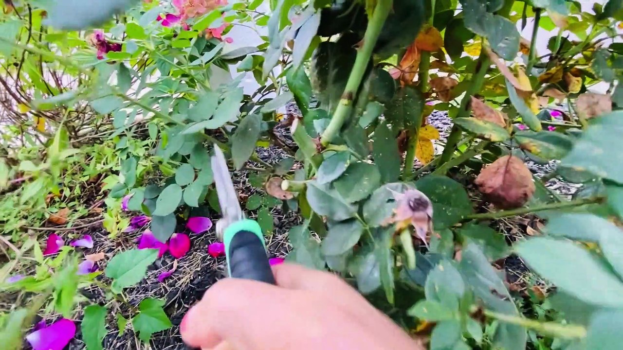 Aaj Kuch Naya Try Karte Hai