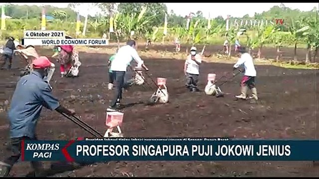 Dibuat dalam Artikel, Profesor Asal Singapura Sebut Jokowi Pemimpin yang Jenius