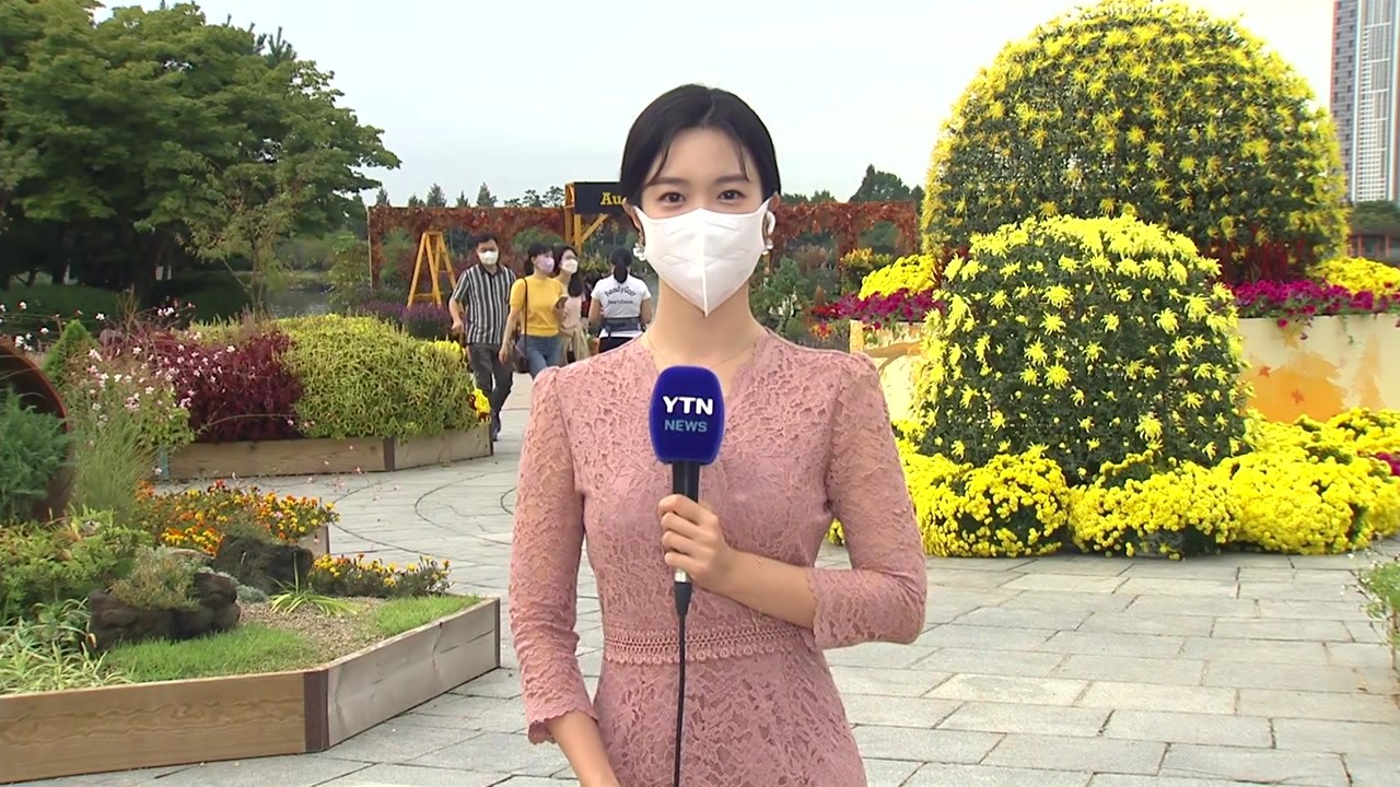 [날씨] 한글날 흐리고 곳곳 비...남부 늦더위 / YTN