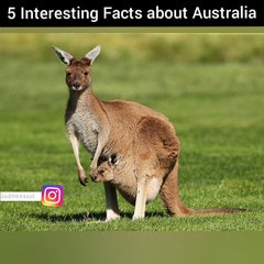 5 Interesting Facts about Australia 