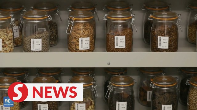 Leading seed bank in SW China protects plant biodiversity