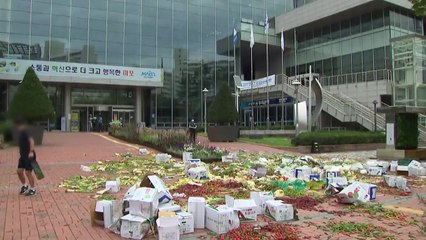 확진자 86명까지 늘어난 마포농수산물시장 폐쇄...상인들 '반발' / YTN