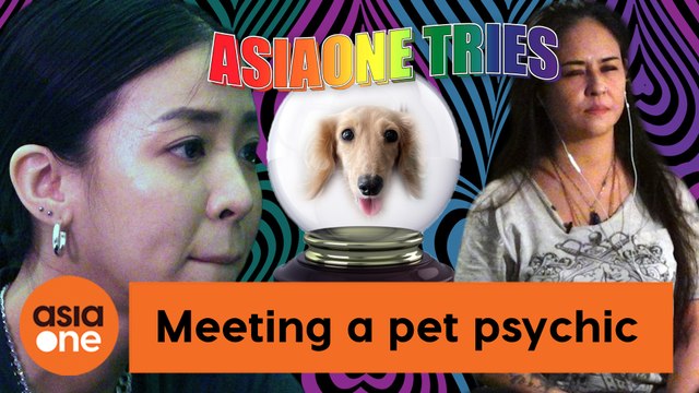 AsiaOne Tries: Amanda Chaang reads her dog’s mind