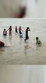 Young people enjoying and bathing in the sea