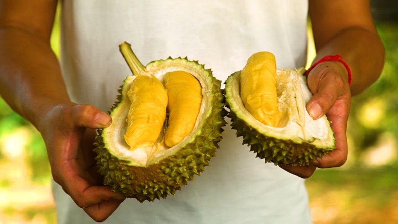 How durian, the 'king of fruits,' sparked a land battle in Malaysia