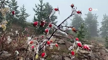 Скачать видео: Sarıkamış buz kesti, ağaçlar kırağı tuttu