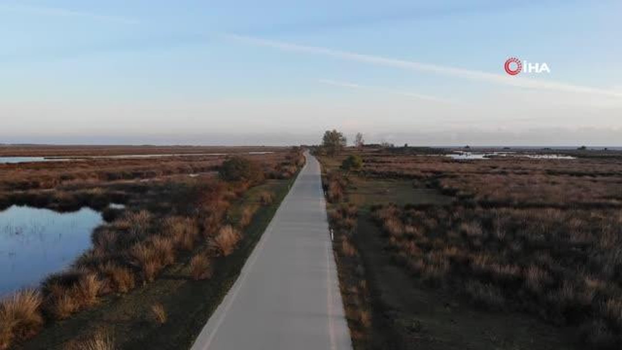 Dünya Göçmen Kuşlar Günü'nde Kızılırmak Deltası'nda kuş gözlemlediler- Öğr. Üyesi Yavuz: "Amaç göçmen kuşların karşılaştıkları zorlukları dikkat...