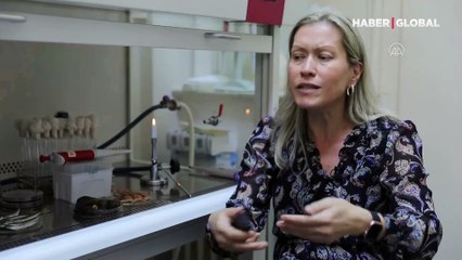 Müsilaj balıkları ne kadar etkiledi? Araştırmada çarpıcı istavrit ve hamsi sonucu