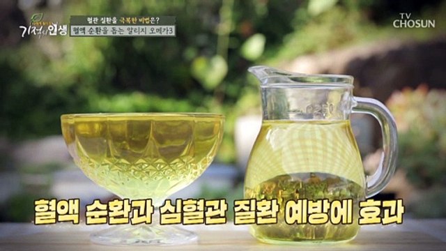 ❛이것❜으로 콜레스테롤 DOWN~ 혈관 질환 극복하자✌ TV CHOSUN 20211009 방송