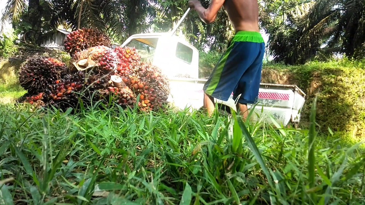 Lanjutan part 2