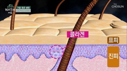 ‘콜라겐’이 감소될 때 나타나는 증상 체크 ✓ TV CHOSUN 20211009 방송