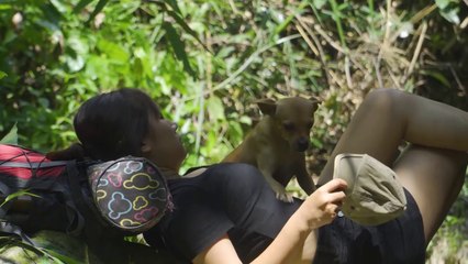 Solo Bushcraft - Make a shelter right by the stream, bathe yourself with nature _ Wild Beauty