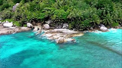 Beautiful Relaxing Music  Calm Harp Music For Stress Relief Insomnia Meditation Music