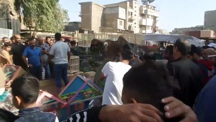 Download Video: Il balade son vautour géant en plein marché. Animal impressionnant...