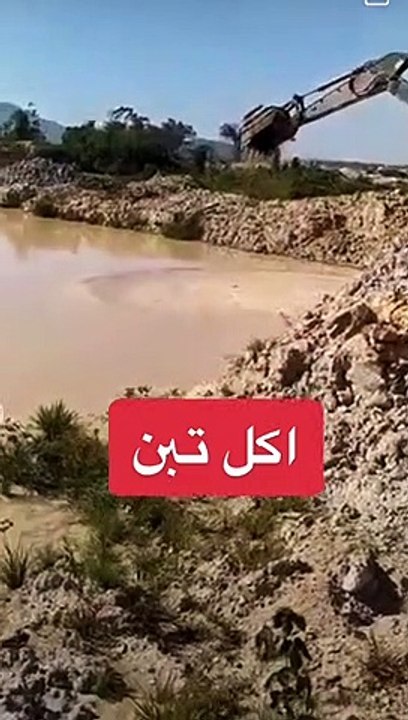 اكل تبت