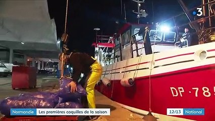 Normandie : la saison de la coquille Saint-Jacques est ouverte