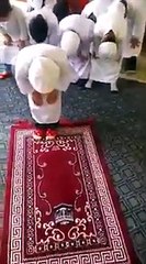 See how beautifully this child is praying