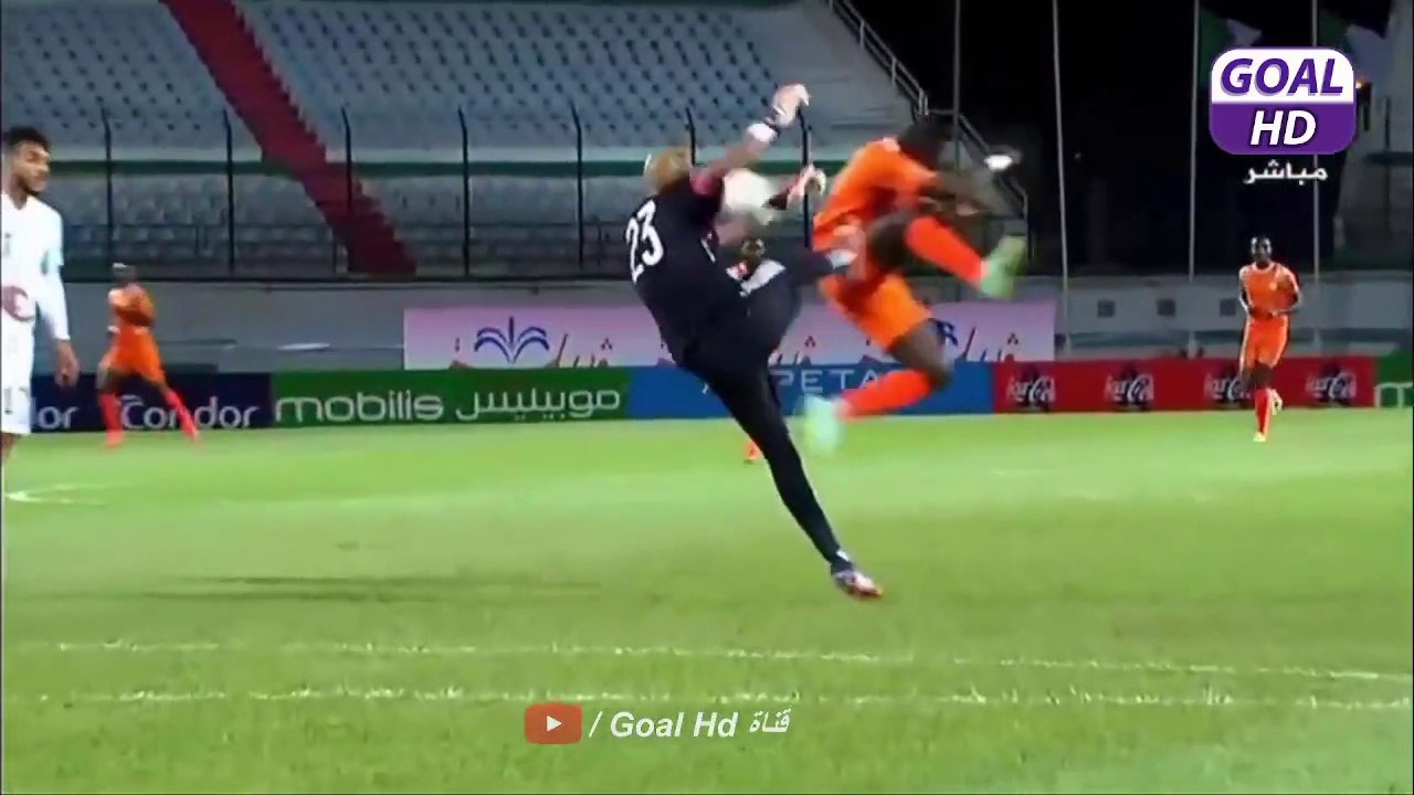 ملخص مباراة الجزائر و النيجر 6-1 - أهداف الجزائر اليوم - هدف رياض محرز اليوم