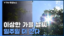 이상한 가을 날씨, 일주일 더 간다 / YTN