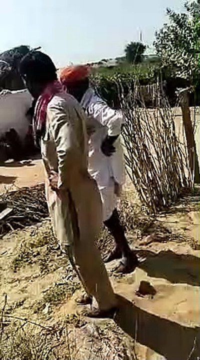 मां खेत गई, पीछे झोंपड़ी में लगी आग, आंखों के सामने दस माह की पुत्री जिंदा जली