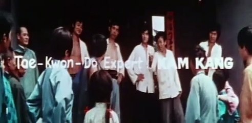 Lady Whirlwind Against The Rangers (1974) Polly Kuan, Kam Kong, Kurata Yasuaki