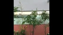 Vídeo: Moradores de Águas Claras registram chuva na tarde deste sábado