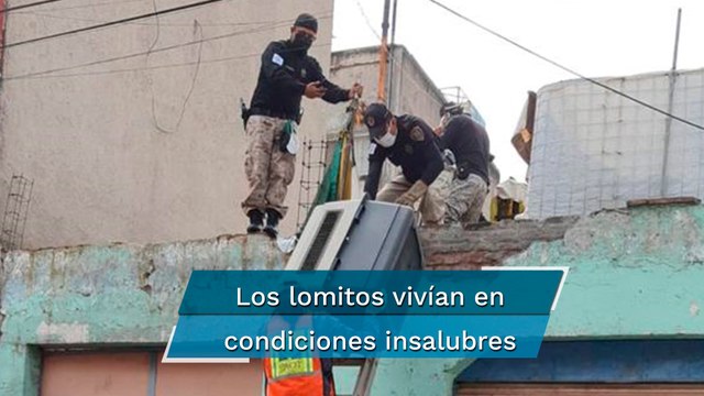 Rescatan a 14 perritos maltratados tras operativo en colonia Obrera