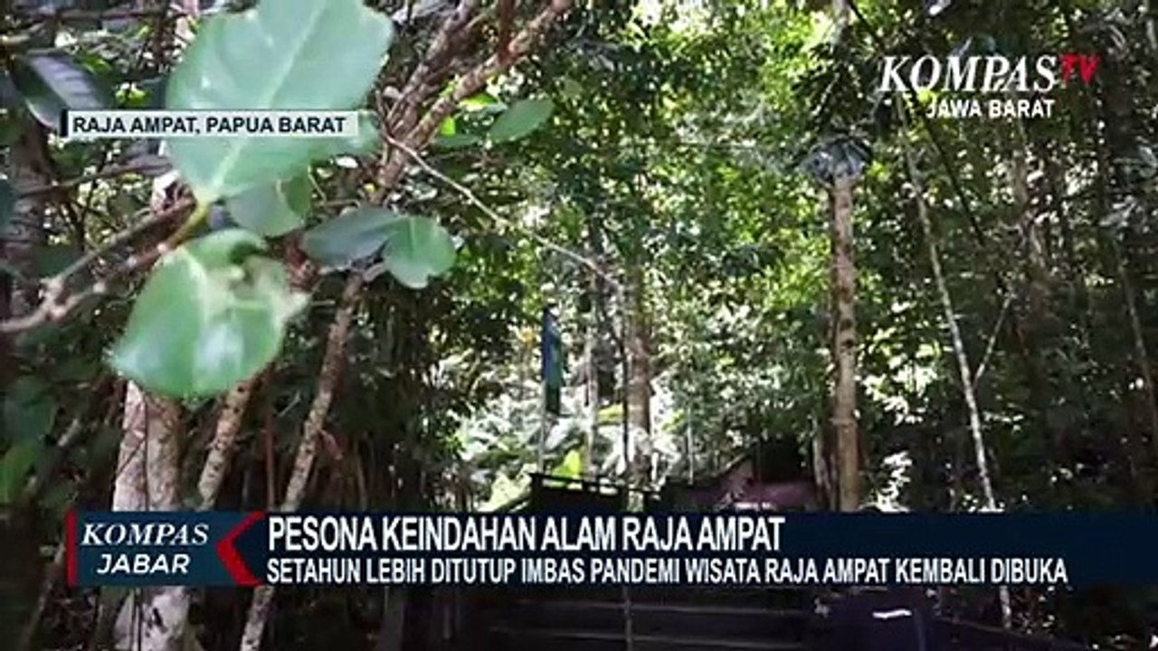 Pesona Keindahan Alam Raja Ampat