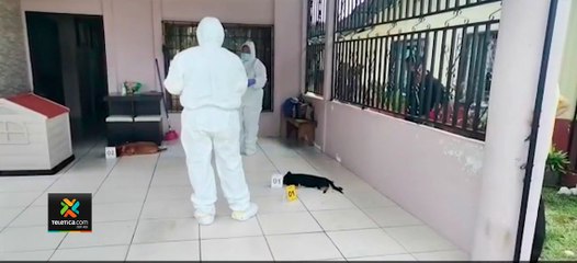 tn7-Envenenan-a-dos-perros-en-el-corredor-de-su-propia-casa-en-Palmar-Norte--091021