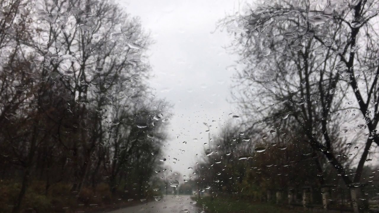 Asmr environmental and natural sounds to relax (Rain 1)/Asmr sonidos ambientales y naturales para ralajarte (Lluvia 1)